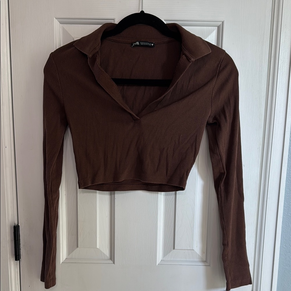 Zara Brown Long Sleeve Crop Top